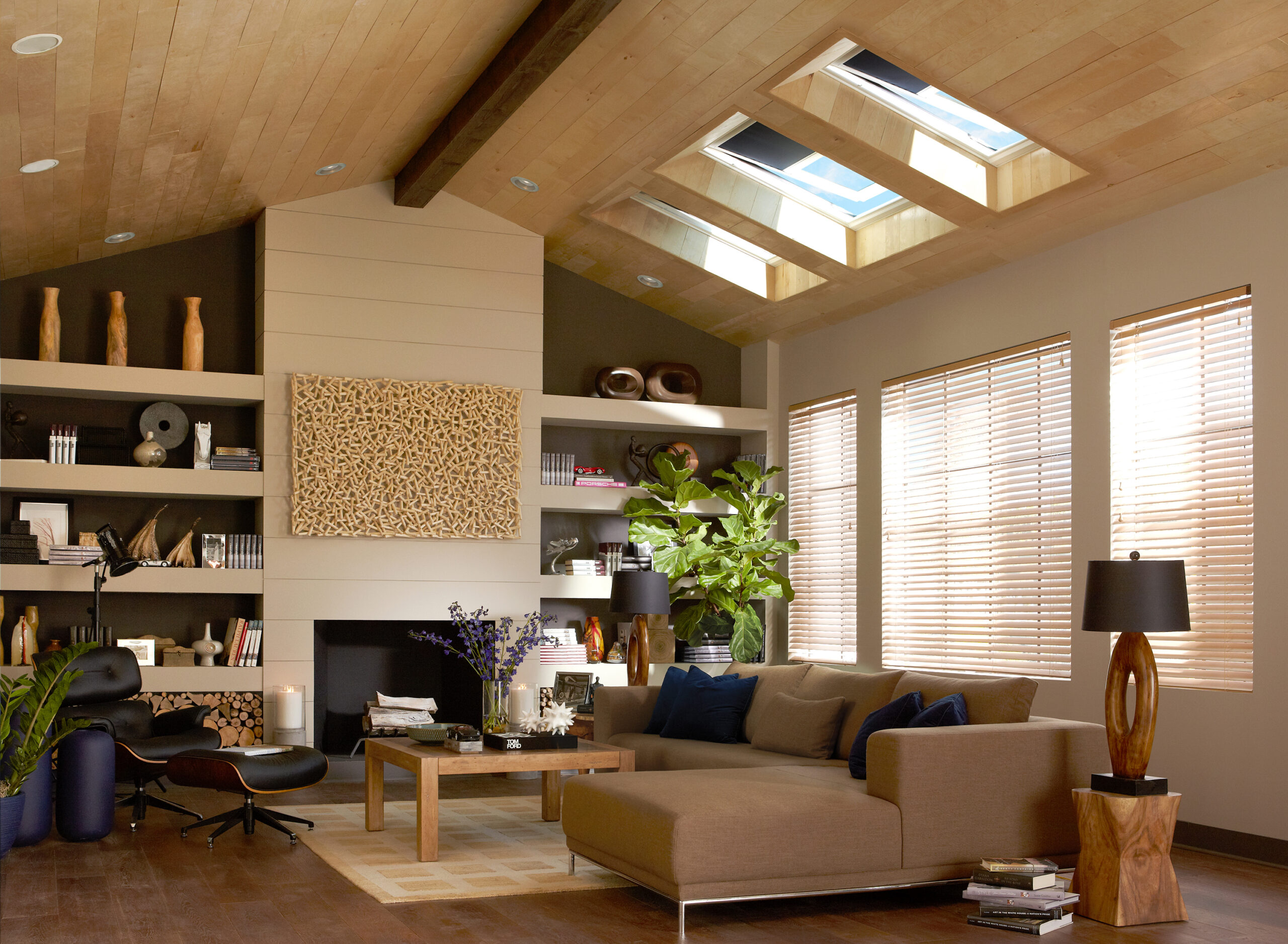 Application-venting-3848-Skylights-Living-Room-0621